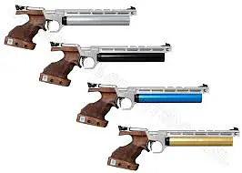 Steyr (EVO-10) - Master