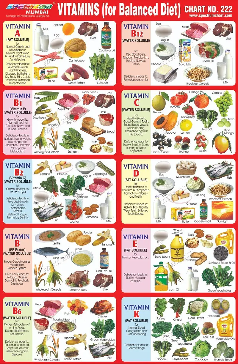 Vitamins and balance diet - Master