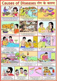 Causes of Diseases  50*75 cms - Master