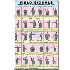 Section Platoon formation & Field Signals - Master