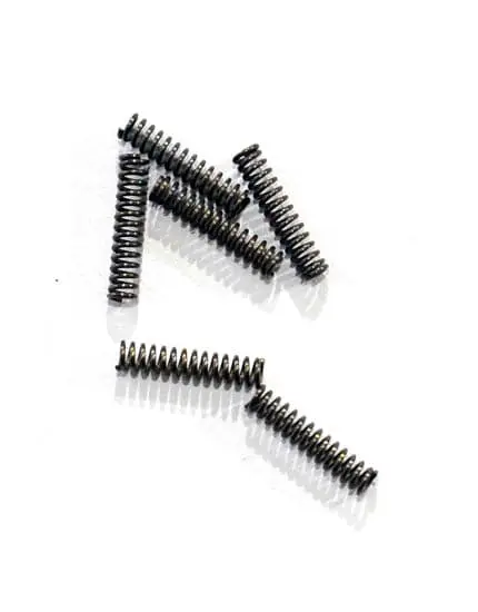 Morini Valve Spring - Master