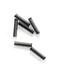 Morini Valve Spring - Master